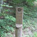 Carved Boone Trail Sign